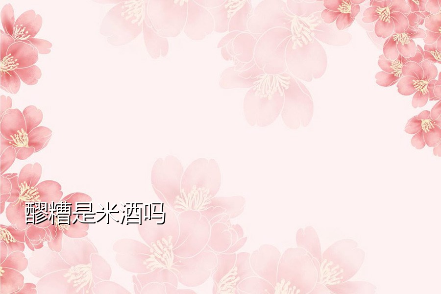 醪糟是米酒吗